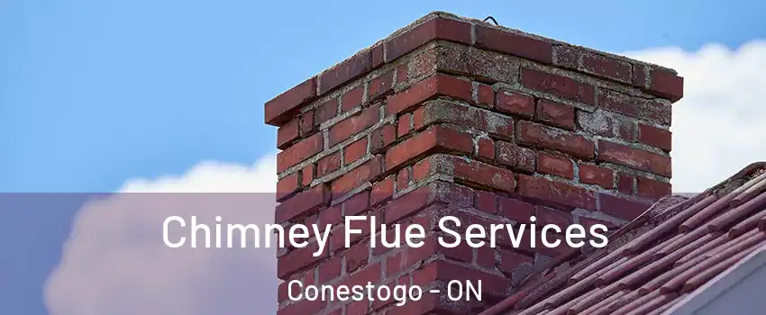 Chimney Flue Services Conestogo - ON