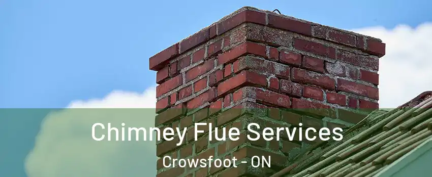 Chimney Flue Services Crowsfoot - ON