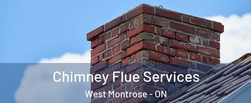 Chimney Flue Services West Montrose - ON
