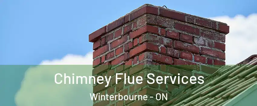 Chimney Flue Services Winterbourne - ON