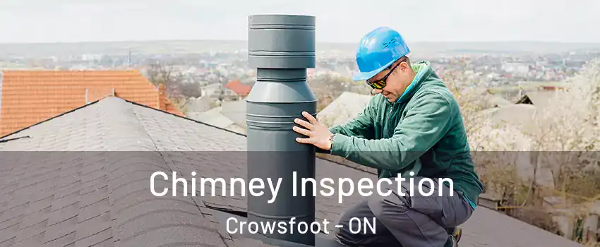 Chimney Inspection Crowsfoot - ON