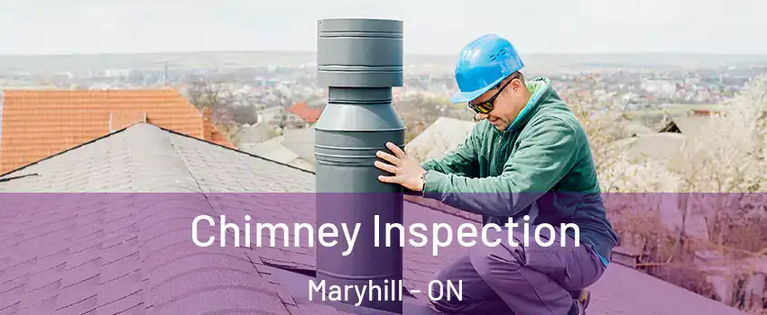 Chimney Inspection Maryhill - ON