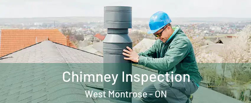 Chimney Inspection West Montrose - ON