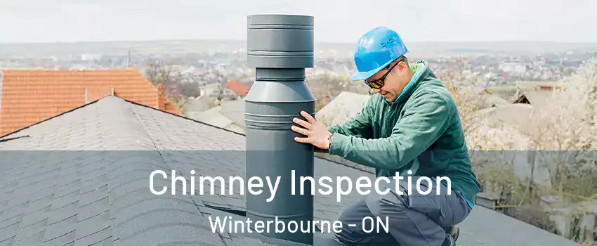 Chimney Inspection Winterbourne - ON