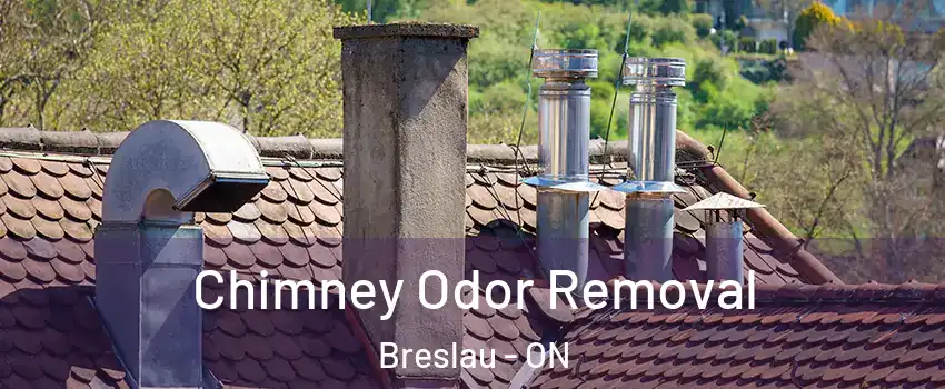 Chimney Odor Removal Breslau - ON