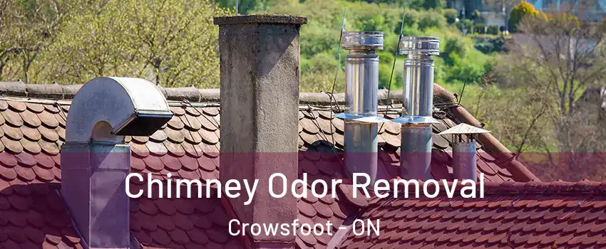 Chimney Odor Removal Crowsfoot - ON