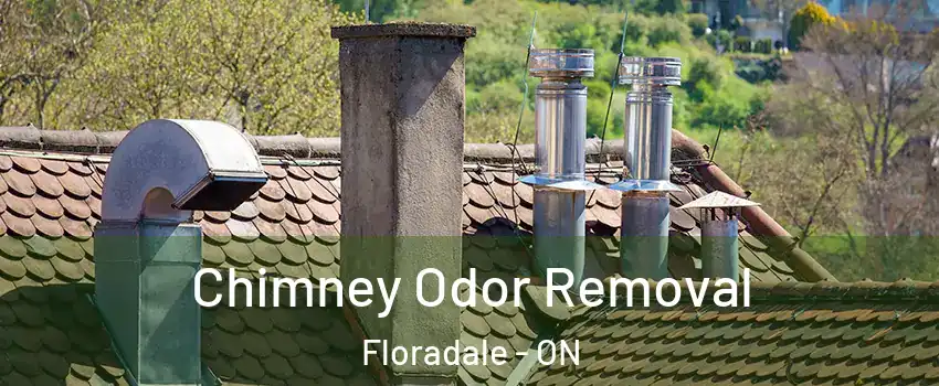 Chimney Odor Removal Floradale - ON