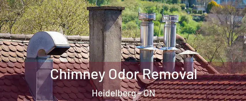 Chimney Odor Removal Heidelberg - ON