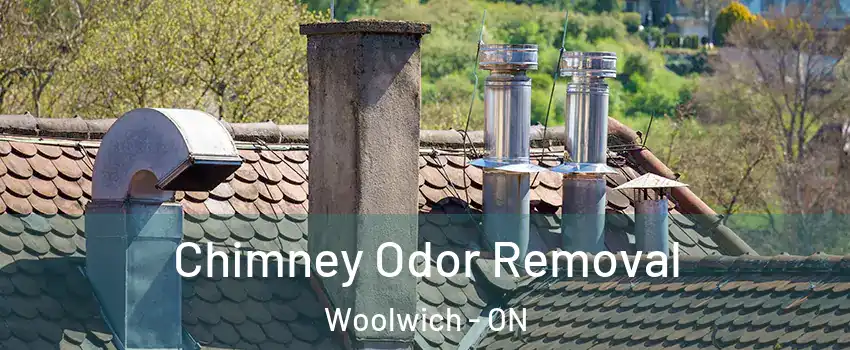 Chimney Odor Removal Woolwich - ON