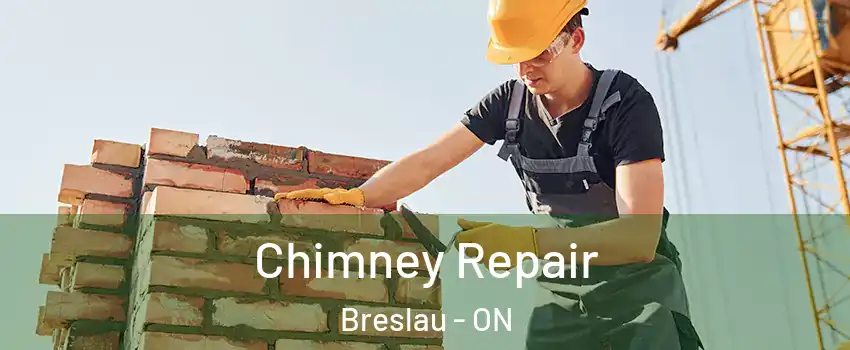 Chimney Repair Breslau - ON