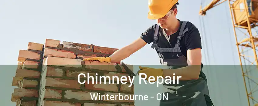 Chimney Repair Winterbourne - ON