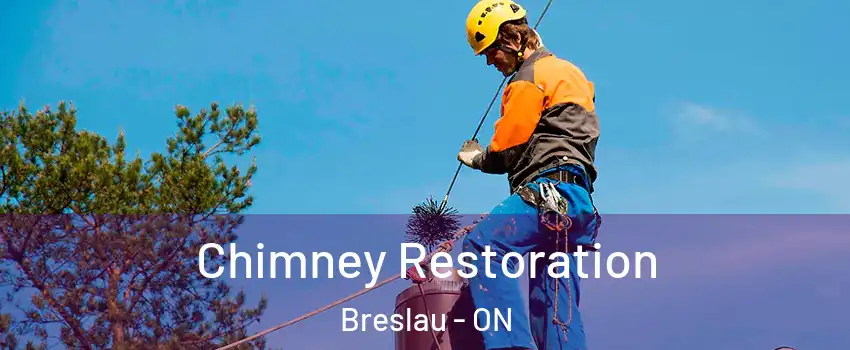 Chimney Restoration Breslau - ON