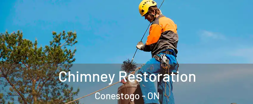  Chimney Restoration Conestogo - ON
