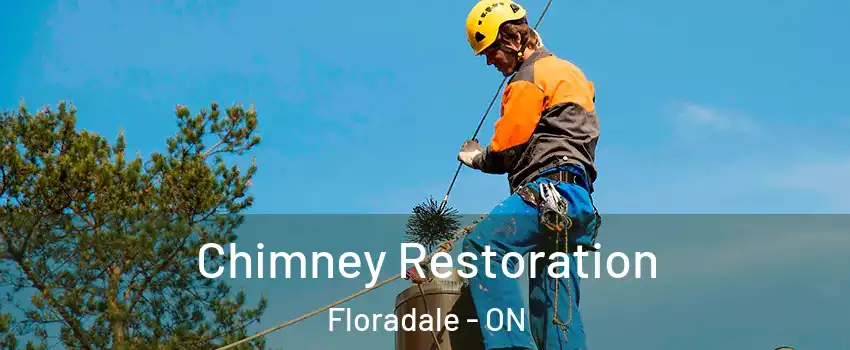 Chimney Restoration Floradale - ON