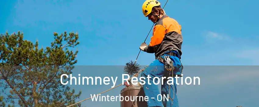 Chimney Restoration Winterbourne - ON