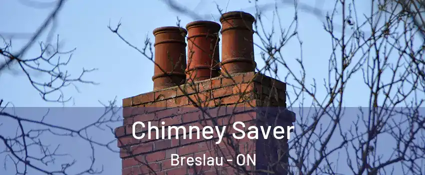  Chimney Saver Breslau - ON