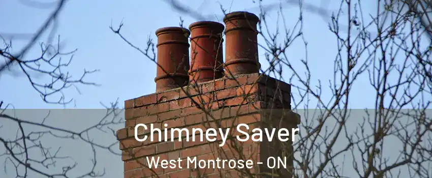 Chimney Saver West Montrose - ON
