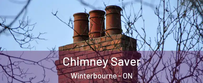  Chimney Saver Winterbourne - ON