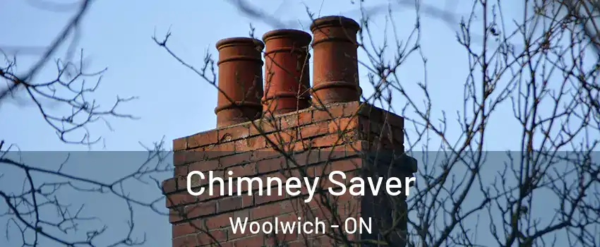 Chimney Saver Woolwich - ON
