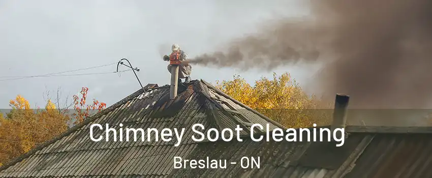 Chimney Soot Cleaning Breslau - ON