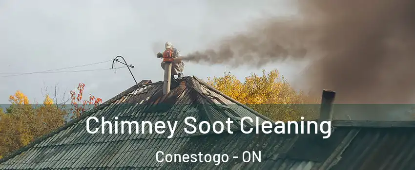 Chimney Soot Cleaning Conestogo - ON
