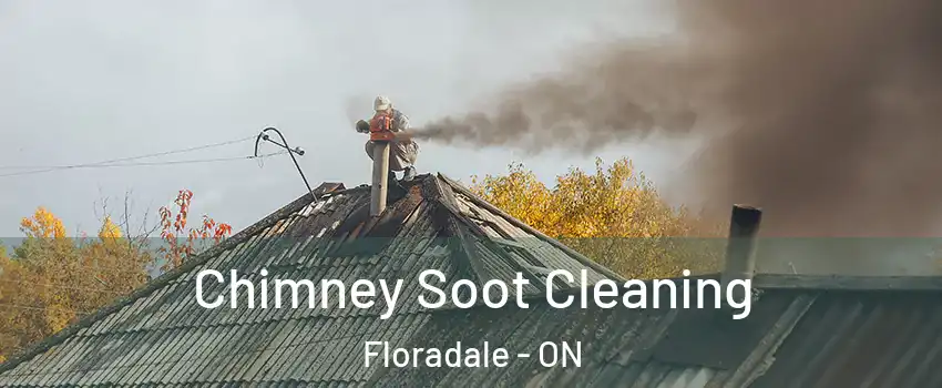 Chimney Soot Cleaning Floradale - ON