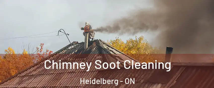Chimney Soot Cleaning Heidelberg - ON