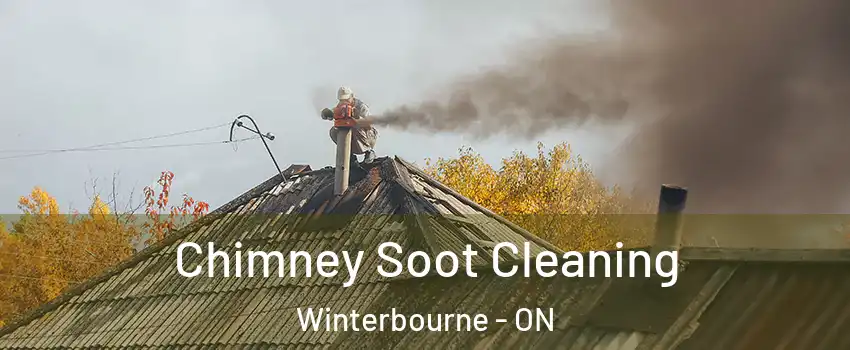 Chimney Soot Cleaning Winterbourne - ON