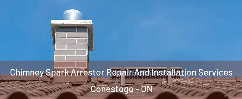  Chimney Spark Arrestor Repair And Installation Services Conestogo - ON