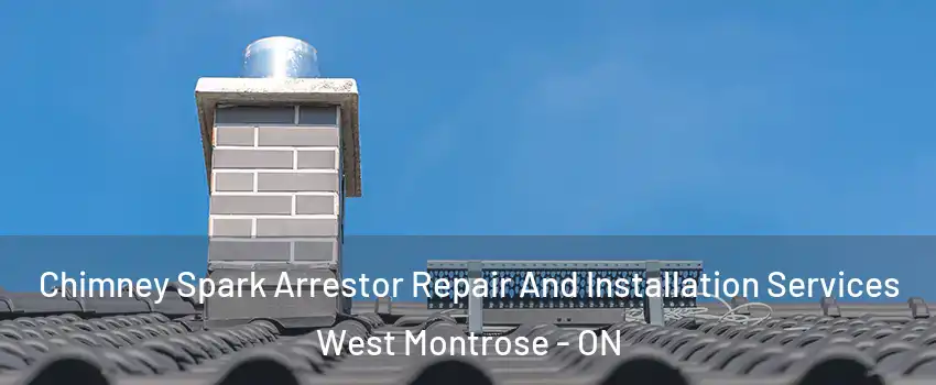 Chimney Spark Arrestor Repair And Installation Services West Montrose - ON