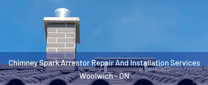 Chimney Spark Arrestor Repair And Installation Services Woolwich - ON