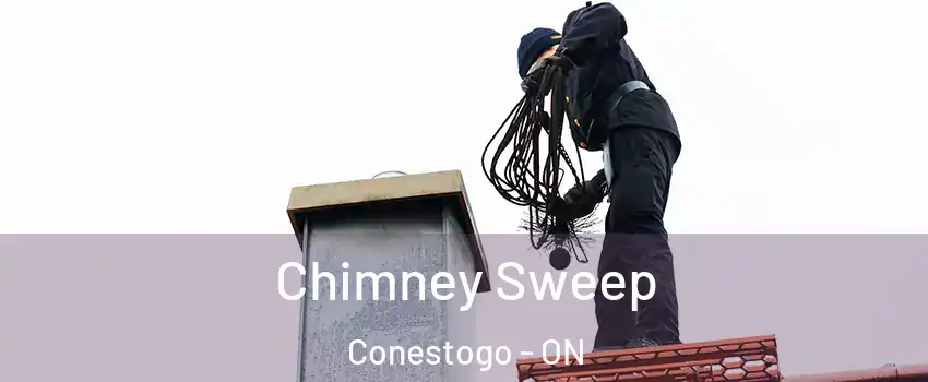Chimney Sweep Conestogo - ON