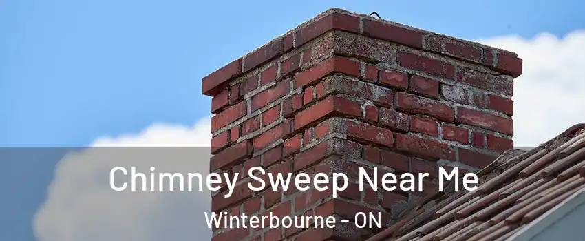  Chimney Sweep Near Me Winterbourne - ON