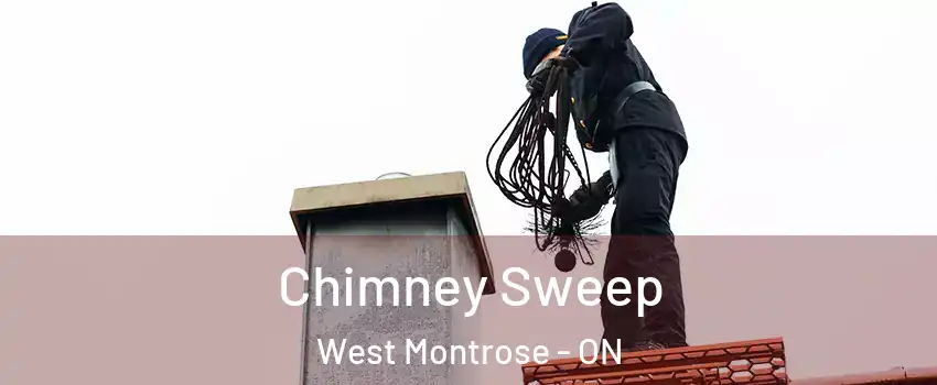  Chimney Sweep West Montrose - ON