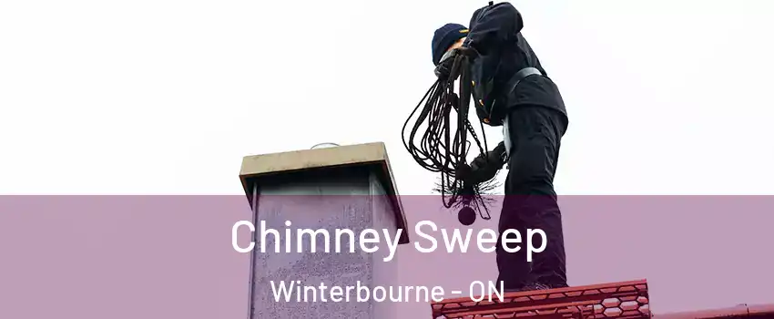 Chimney Sweep Winterbourne - ON
