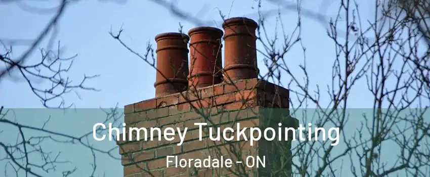 Chimney Tuckpointing Floradale - ON