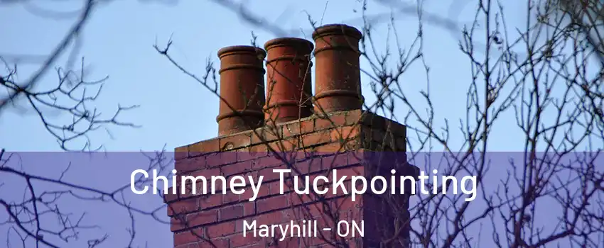 Chimney Tuckpointing Maryhill - ON