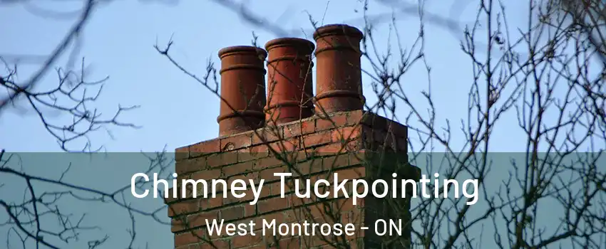  Chimney Tuckpointing West Montrose - ON