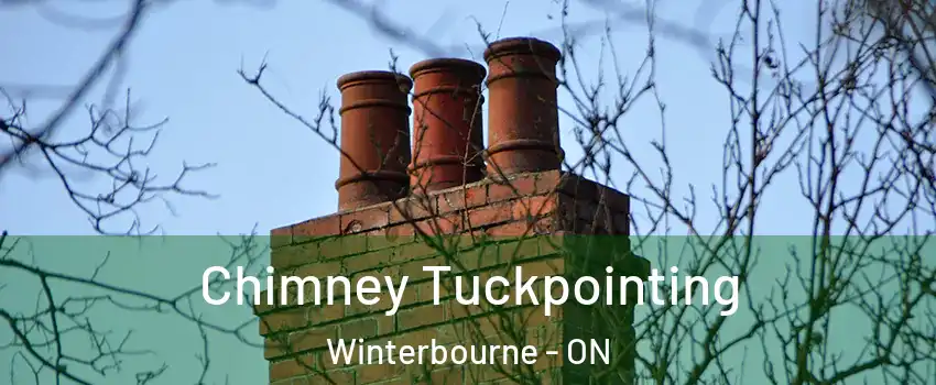 Chimney Tuckpointing Winterbourne - ON