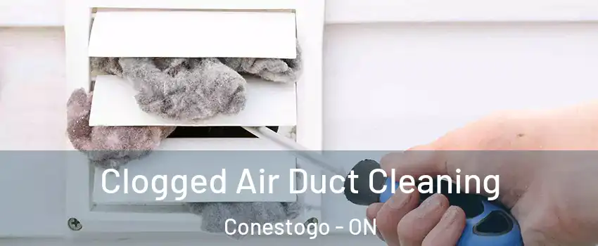  Clogged Air Duct Cleaning Conestogo - ON