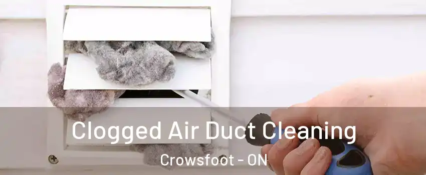 Clogged Air Duct Cleaning Crowsfoot - ON