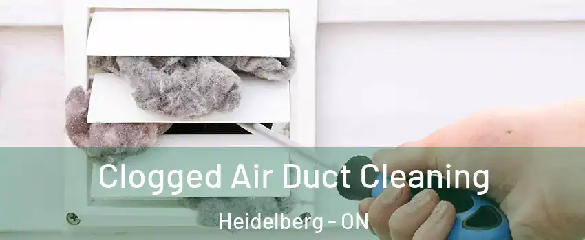 Clogged Air Duct Cleaning Heidelberg - ON
