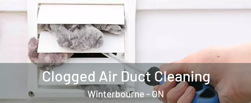 Clogged Air Duct Cleaning Winterbourne - ON