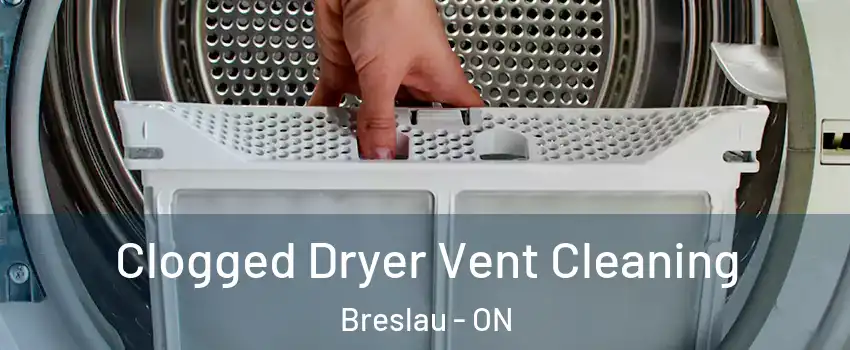 Clogged Dryer Vent Cleaning Breslau - ON