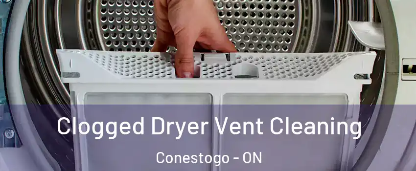 Clogged Dryer Vent Cleaning Conestogo - ON