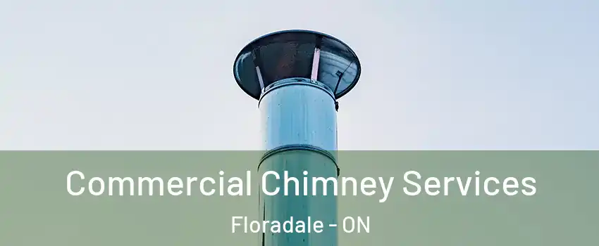 Commercial Chimney Services Floradale - ON