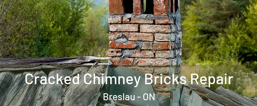 Cracked Chimney Bricks Repair Breslau - ON