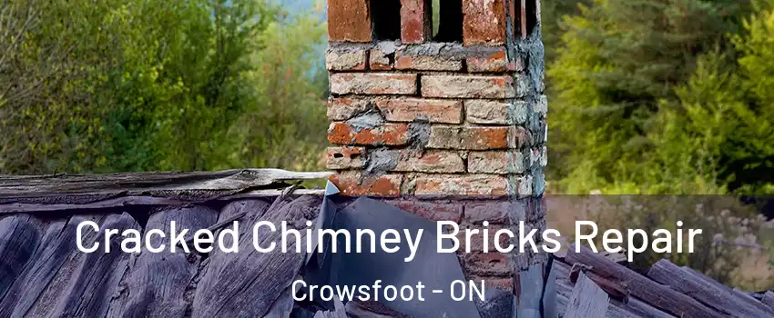 Cracked Chimney Bricks Repair Crowsfoot - ON