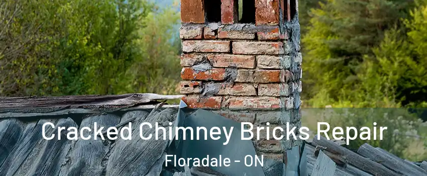 Cracked Chimney Bricks Repair Floradale - ON