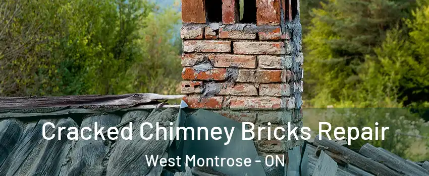 Cracked Chimney Bricks Repair West Montrose - ON